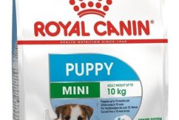 alimento-royal-canin-size-health-nutrition-mini-puppy-para-perro-cachorro-de-raza-mini-sabor-mix-en-bolsa-de-7-5kg-39-890