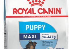 alimento-royal-canin-size-health-nutrition-maxi-puppy-para-perro-cachorro-de-raza-grande-sabor-mix-de-15-kg-88-700